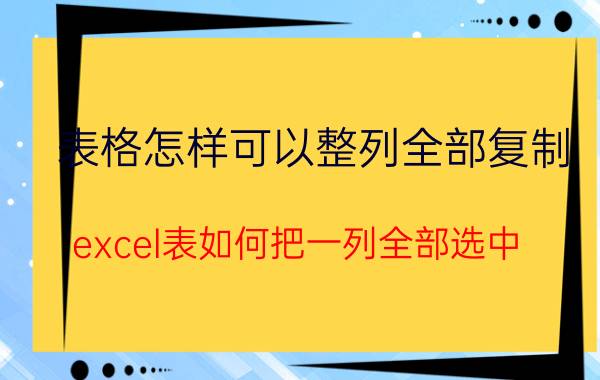 表格怎样可以整列全部复制 excel表如何把一列全部选中？